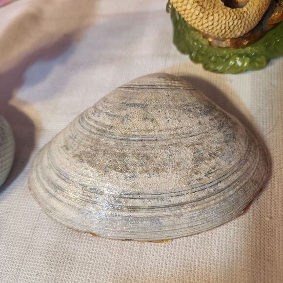 DECOUPAGE BIRDS AND FLOWERS ON A CLAM SHELL - Picture 9 of 9